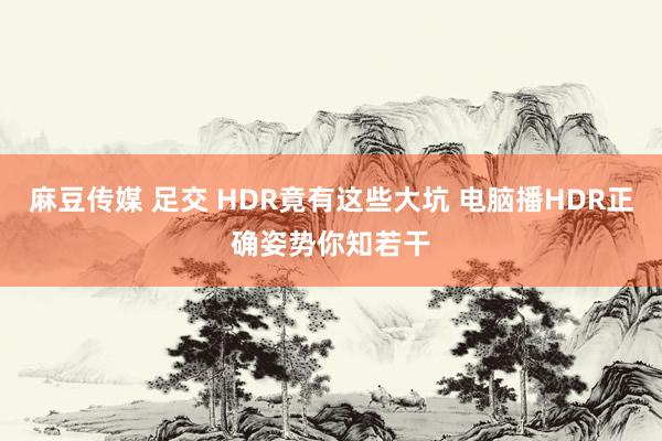 麻豆传媒 足交 HDR竟有这些大坑 电脑播HDR正确姿势你知若干