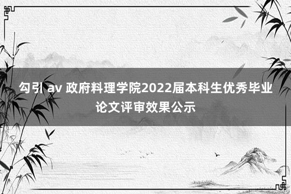 勾引 av 政府料理学院2022届本科生优秀毕业论文评审效果公示