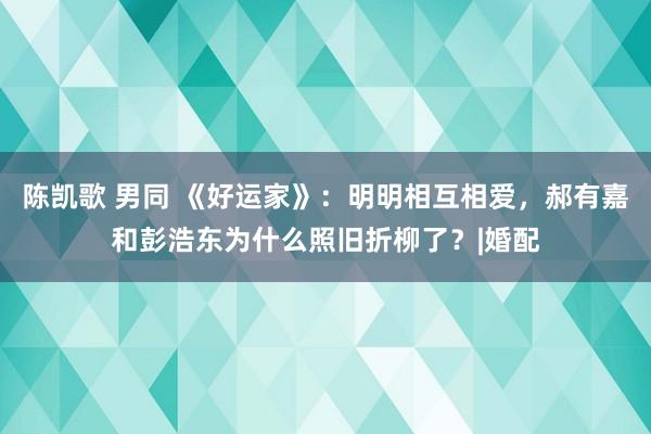 陈凯歌 男同 《好运家》：明明相互相爱，郝有嘉和彭浩东为什么照旧折柳了？|婚配