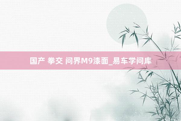国产 拳交 问界M9漆面_易车学问库