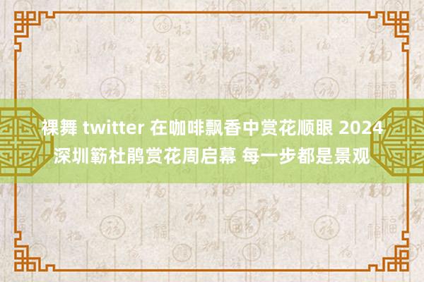 裸舞 twitter 在咖啡飘香中赏花顺眼 2024深圳簕杜鹃赏花周启幕 每一步都是景观