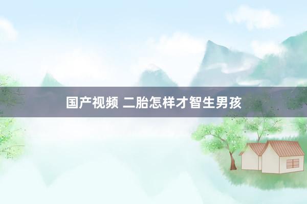 国产视频 二胎怎样才智生男孩
