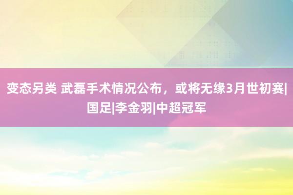 变态另类 武磊手术情况公布，或将无缘3月世初赛|国足|李金羽|中超冠军