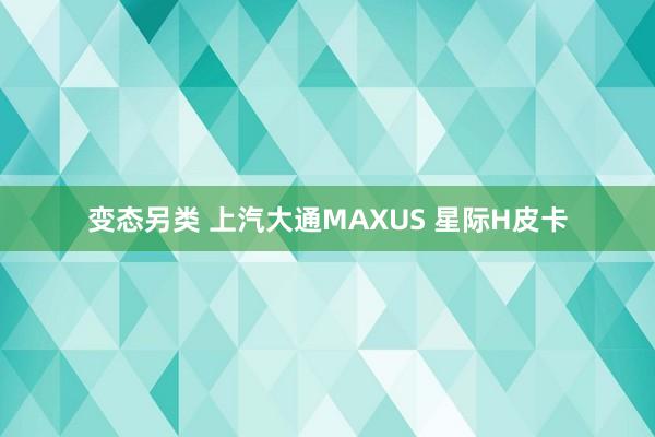 变态另类 上汽大通MAXUS 星际H皮卡