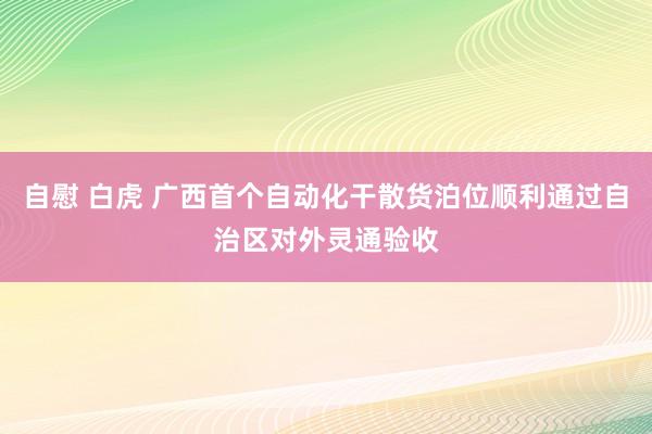 自慰 白虎 广西首个自动化干散货泊位顺利通过自治区对外灵通验收