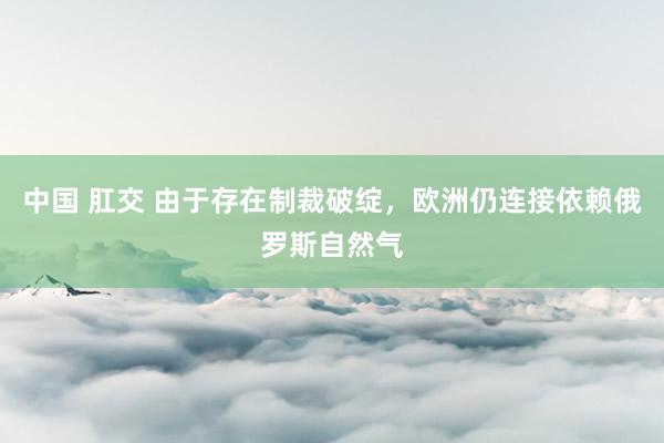 中国 肛交 由于存在制裁破绽，欧洲仍连接依赖俄罗斯自然气