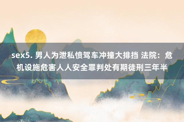 sex5. 男人为泄私愤驾车冲撞大排挡 法院：危机设施危害人人安全罪判处有期徒刑三年半