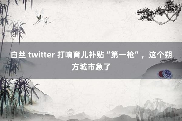 白丝 twitter 打响育儿补贴“第一枪”，这个朔方城市急了