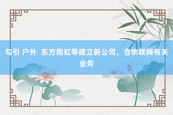 勾引 户外  东方雨虹等建立新公司，含物联网有关业务